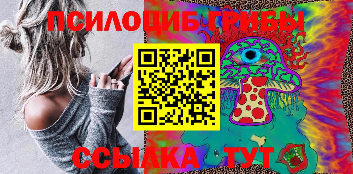 Псилоцибиновые грибы MAGIC MUSHROOMS  Вход с VPN  Кулебаки 