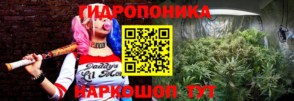 Каннабис ГИДРОПОН Кулебаки